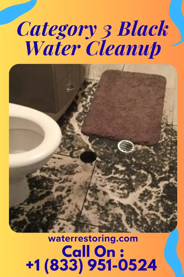 Category 3 Black Water Cleanup in Foxburg, PA