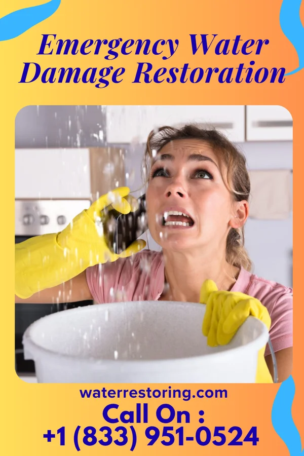 Emergency Water Damage Restoration in Foxburg, PA