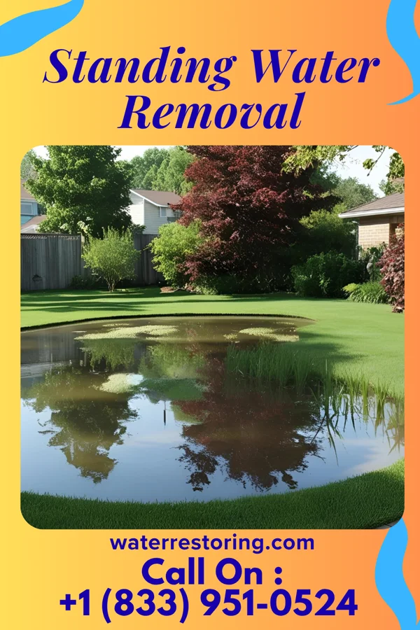 Standing Water Removal in Foxburg, PA